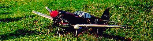 curtiss p40 kittykawk radio controlled scale model aircraft